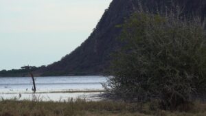 Nacionalni park Lake Manyara