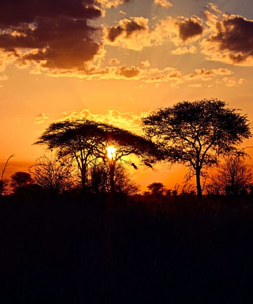 sunset haze